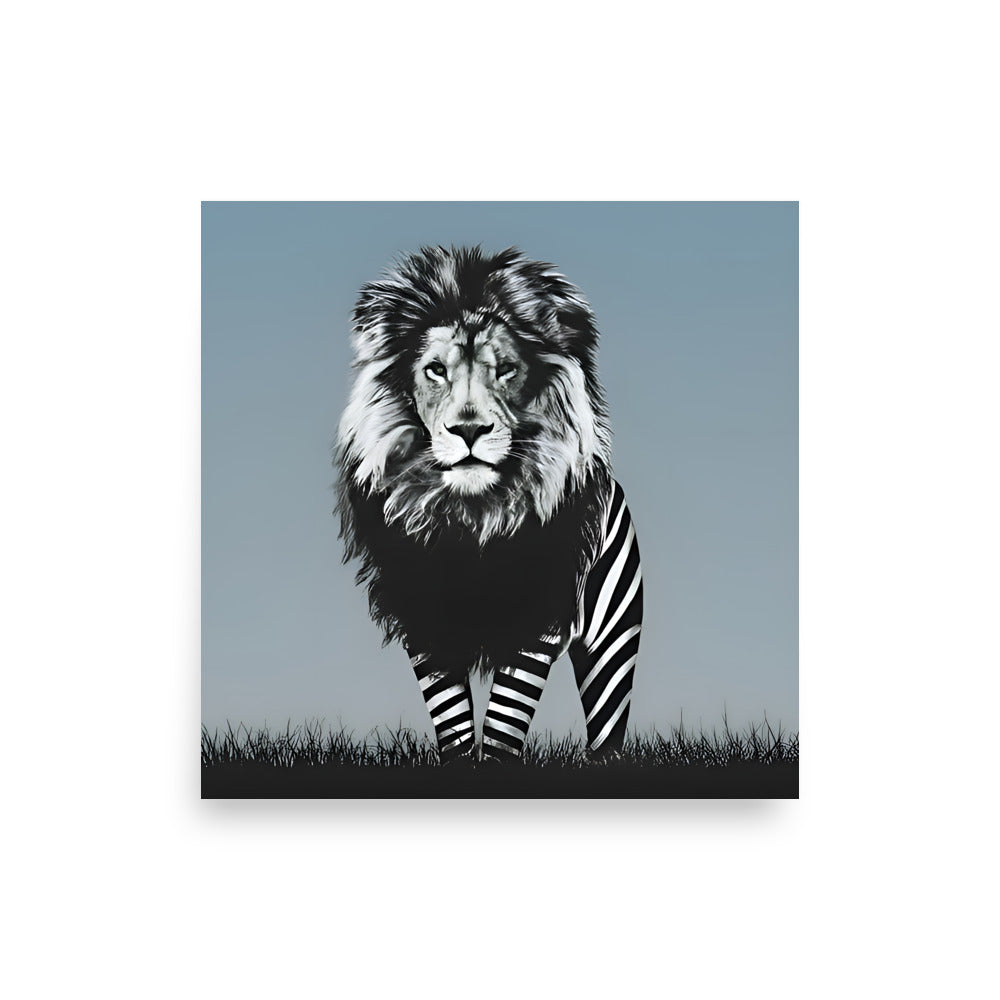 Poster Lion Zebra Square