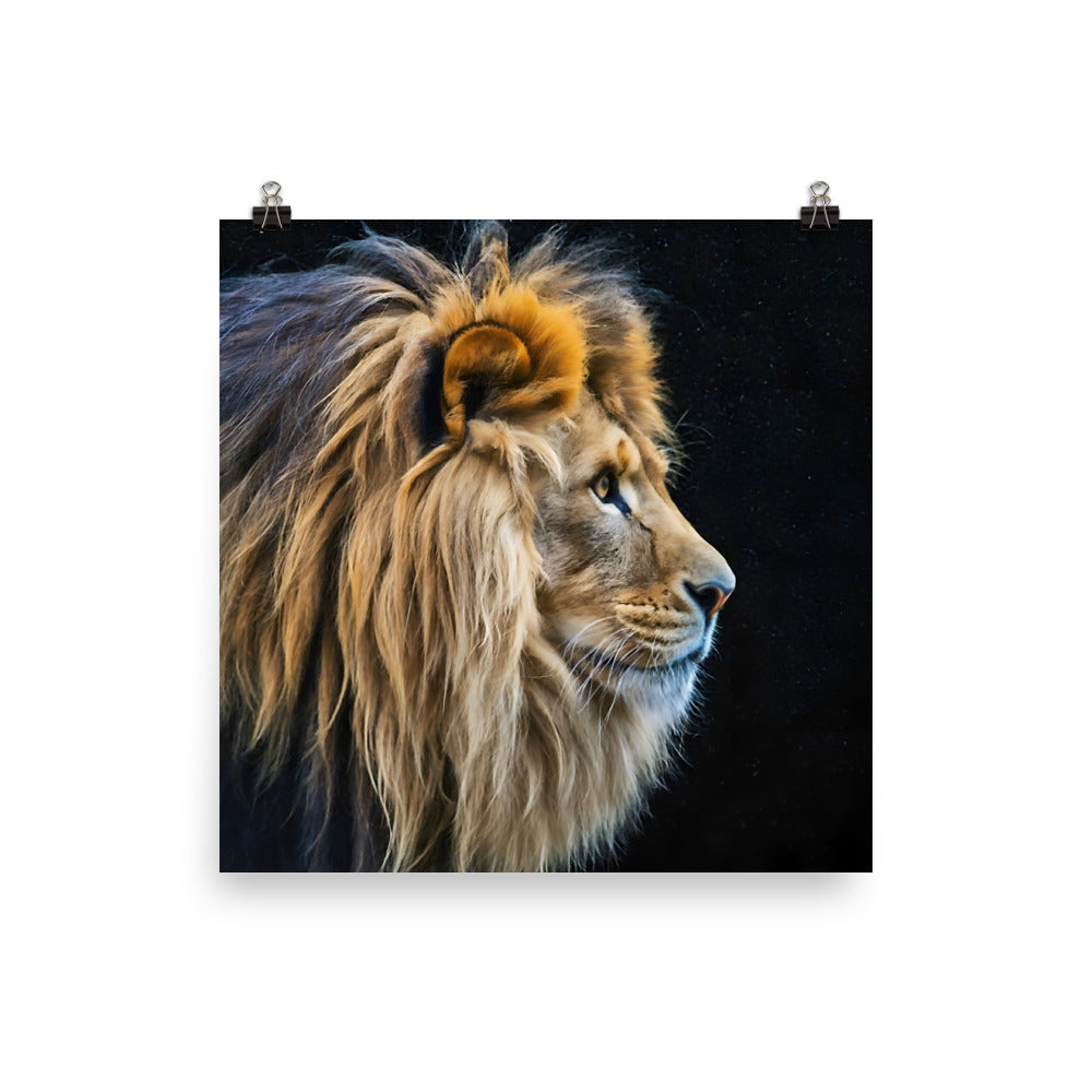 Poster Lion Black Background Square